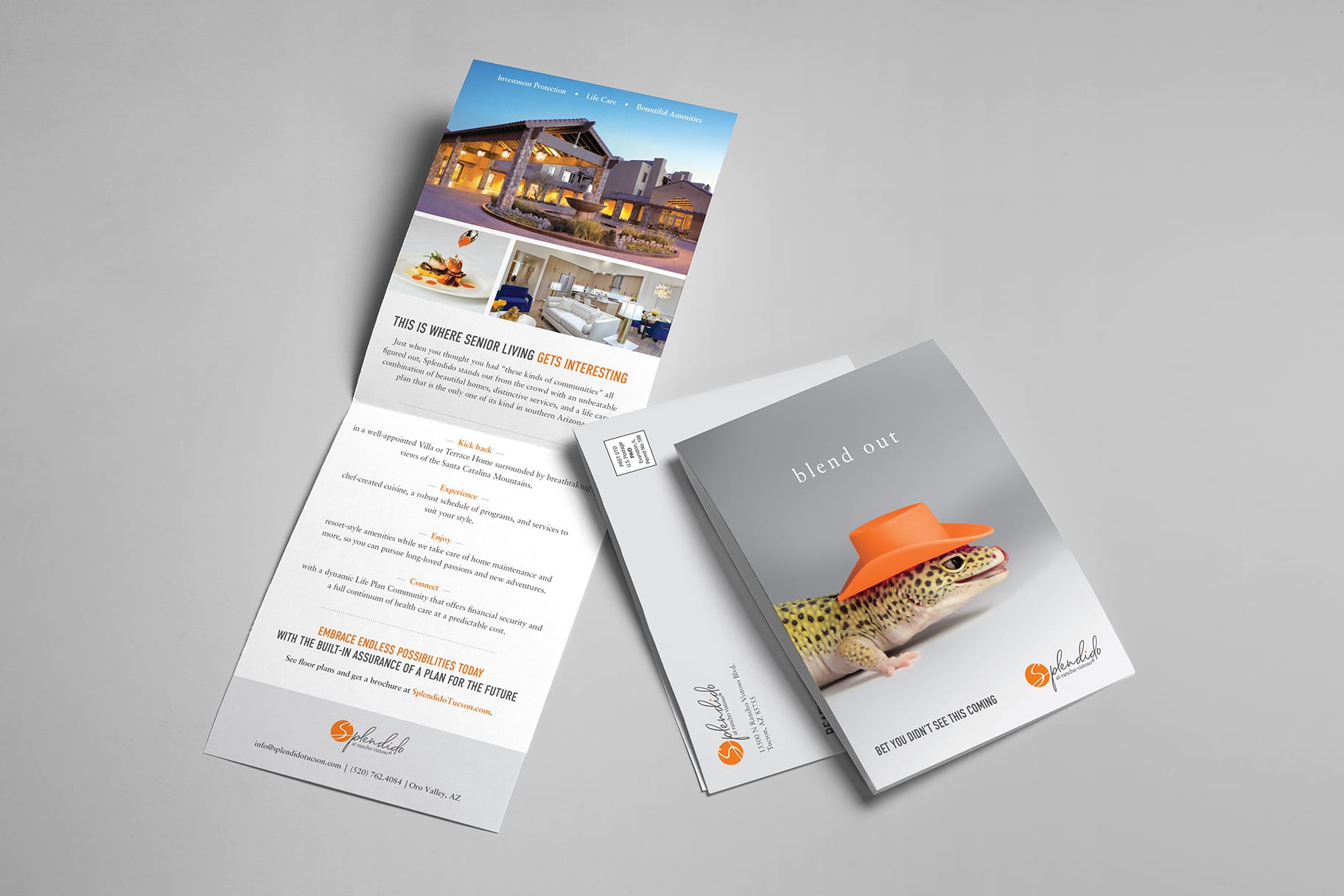 Mather Splendido Print Direct Mail - Lizard and property shot